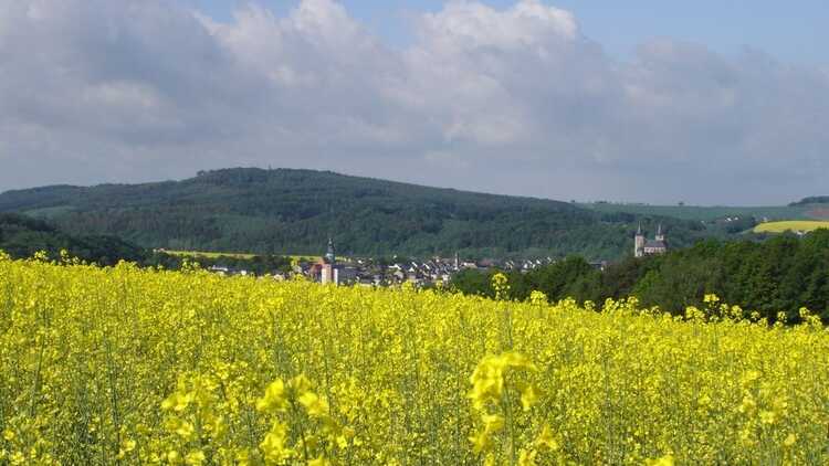 Rochlitzer Berg - Foto: Hans-Jürgen Köttnitz