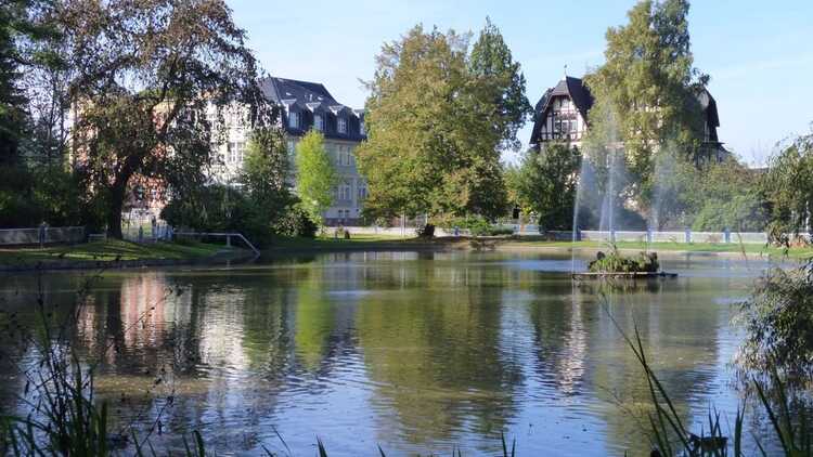 Wettinhain Burgstädt - Foto: HVV