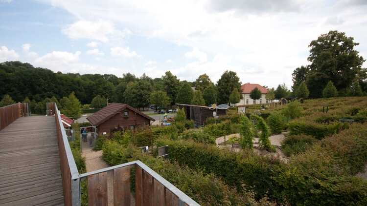 Irrgarten der Sinne - Foto: Bianka Behrami